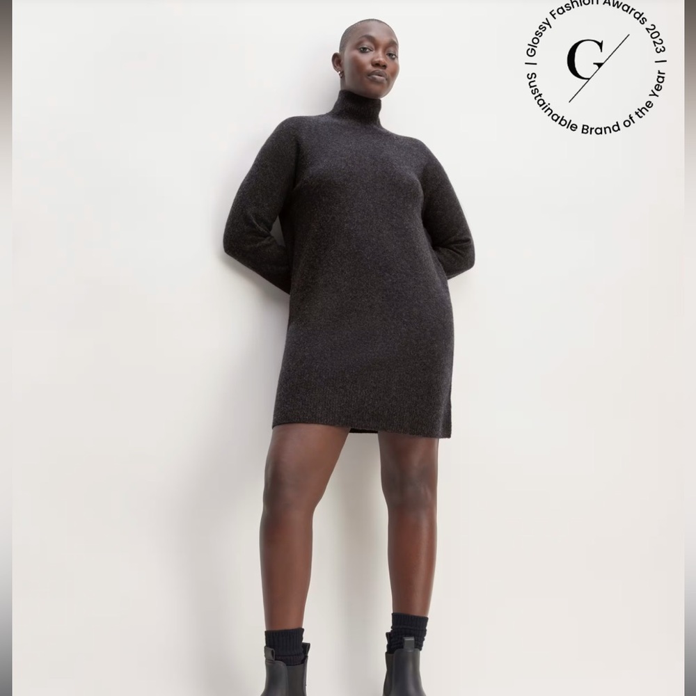 NWOT Everlane The Cozy Stretch Turtleneck Dress - large - Picture 5 of 9